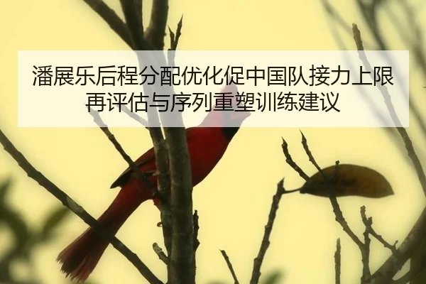 潘展乐后程分配优化促中国队接力上限再评估与序列重塑训练建议